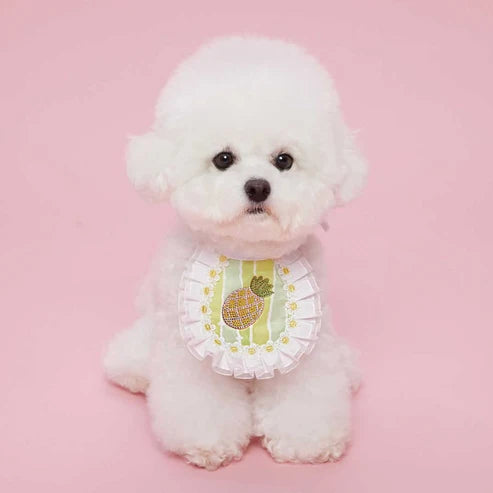 Sparkly Fruit Drool Bib (3 Colors)